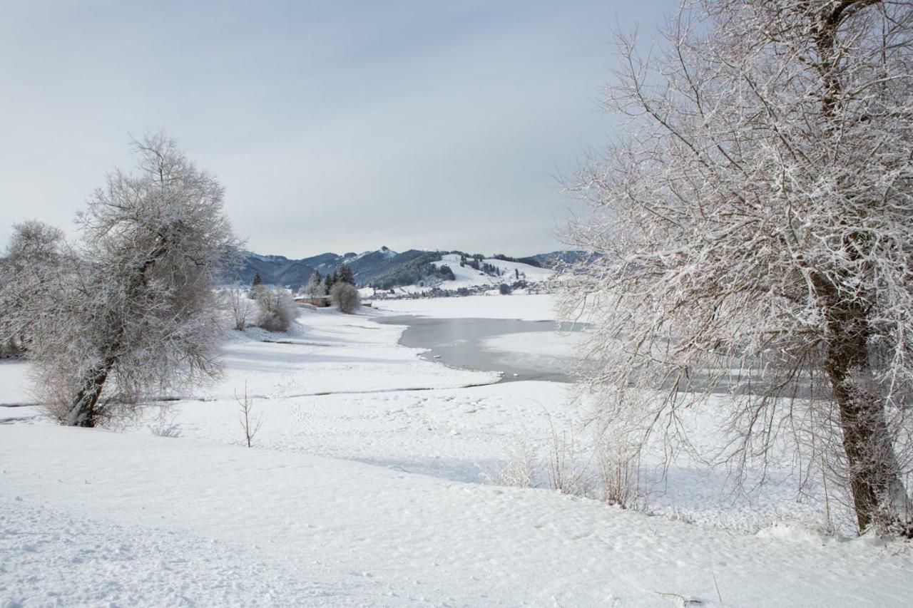 Am 3* Willerzell